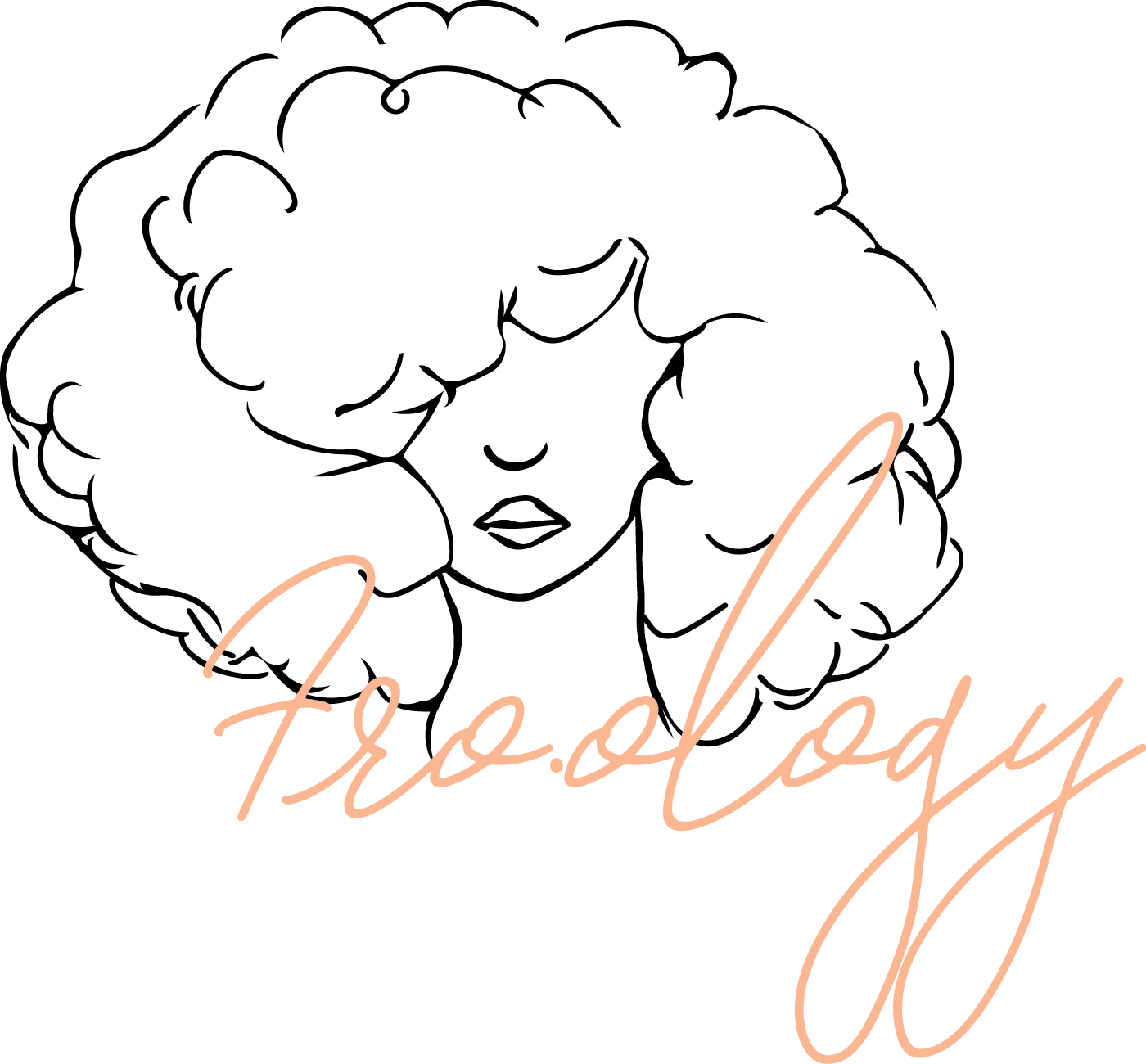 Brandifi From Froology Logo